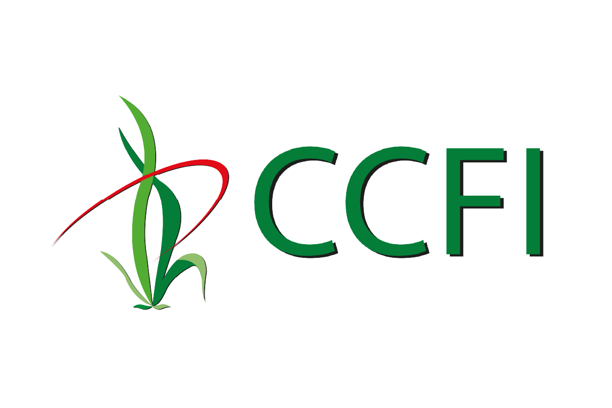 CCFI