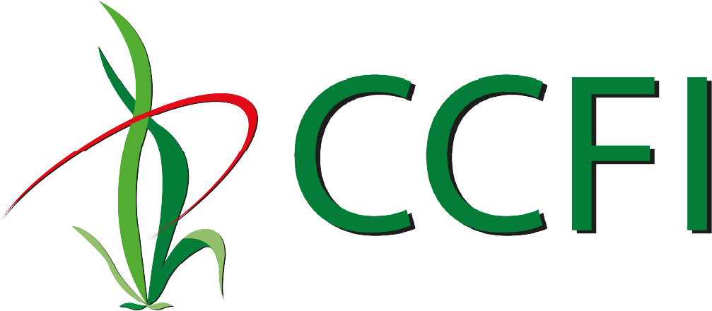 CCFI